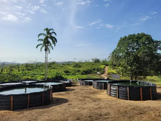 SOBERANIA ALIMENTAR ][ Governo entrega tanques de piscicultura na TI Yanomami